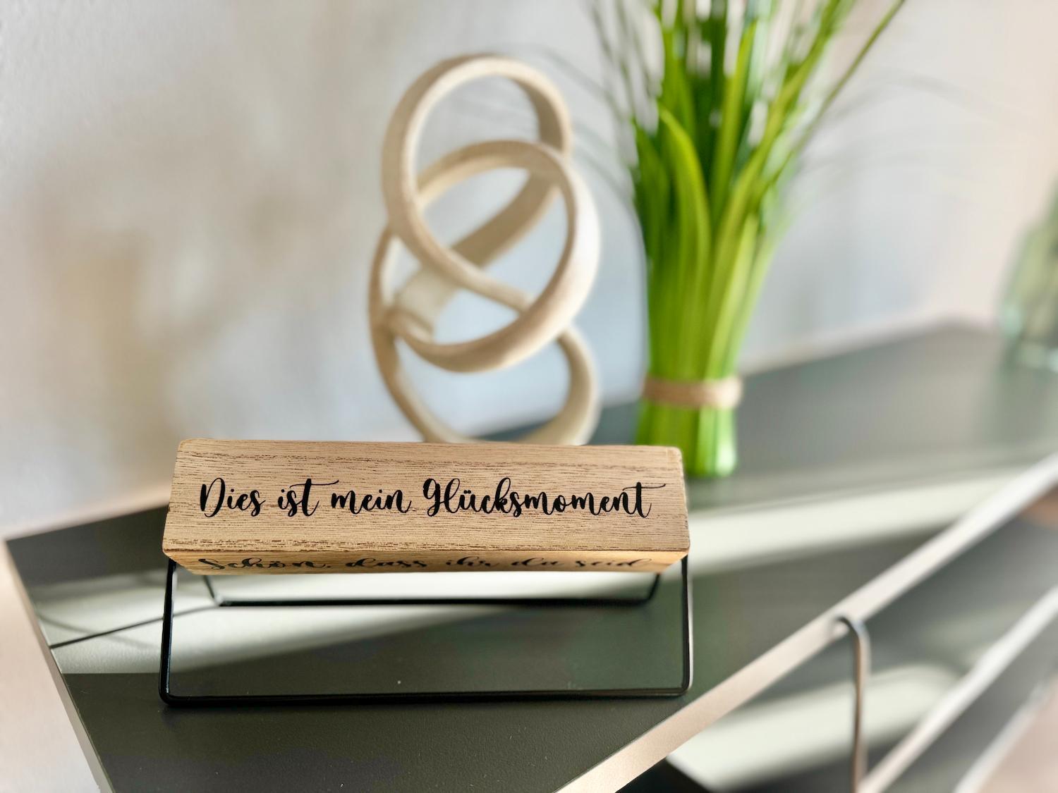 Appartamento Elboase - Radfahrer Willkommen! Dresda